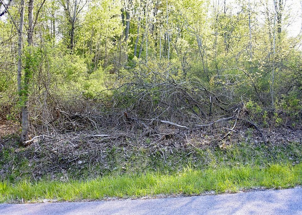 2nd image of 13 Mountain View Drive