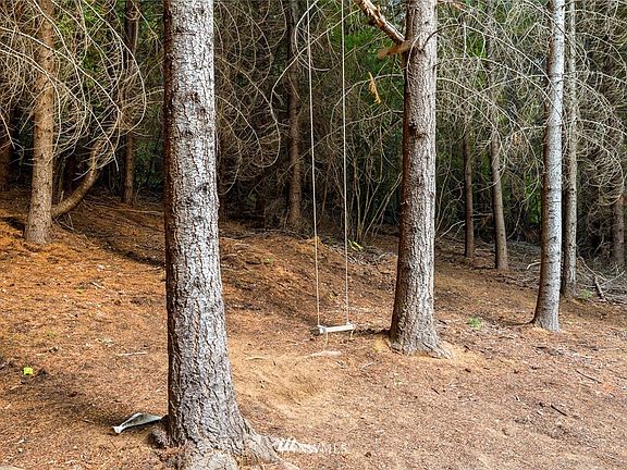 Take advantage of the old growth trees to create spaces of enjoyment, like this swing shown here.