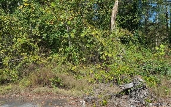 4th image of 7832 Adeline Ln