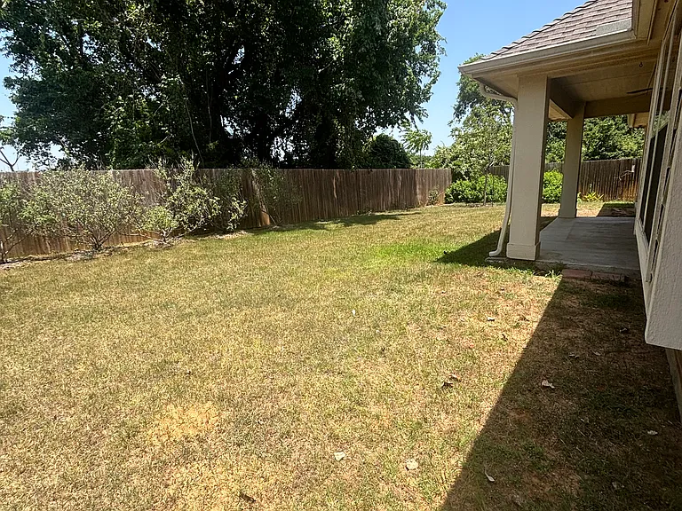 Back yard