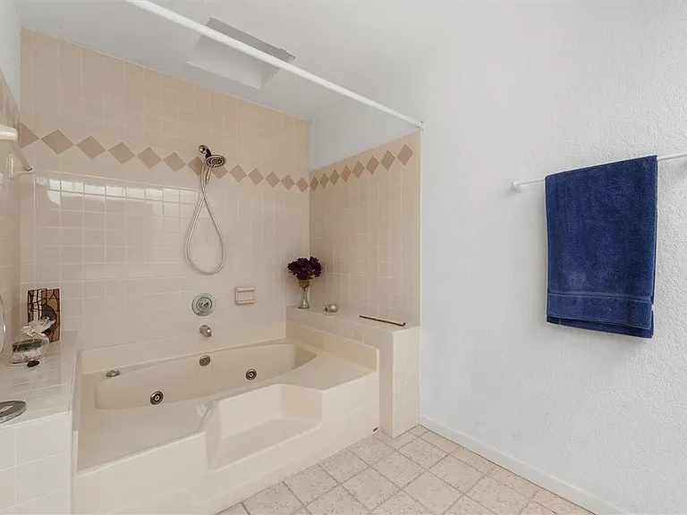 Master bathroom shower and jacuzzi tub.