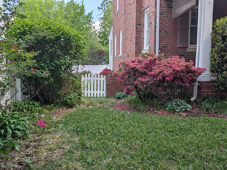 Brandywine St NW — Photo 30