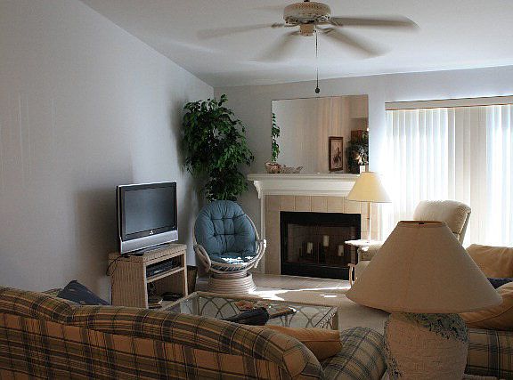 Den with Fireplace
