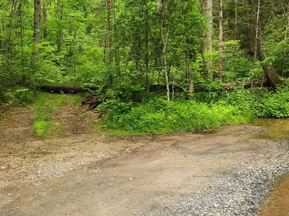 Goose Island Rd, Ellijay, GA 30540