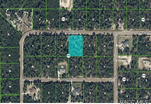 5th image of 4429 W Malaluka Cir