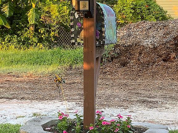 5th image of 564 Bee Bee Dr