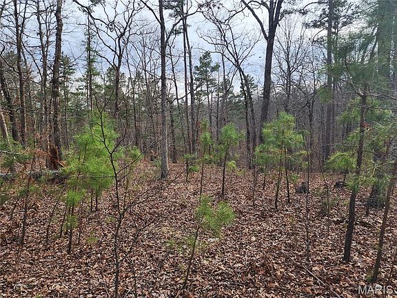 5th image of 0 Wayne County Rd #434