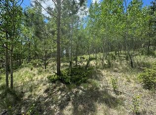 64 Rattler Way, Cripple Creek, CO 80813