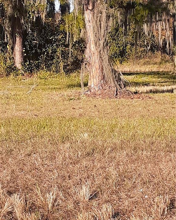 2nd image of 5953 Thunder Rd