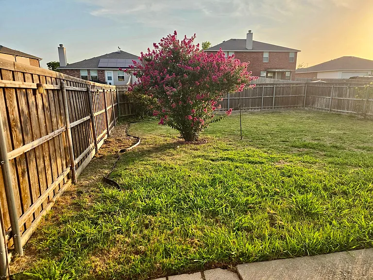 1217 Evergreen St — Photo 11