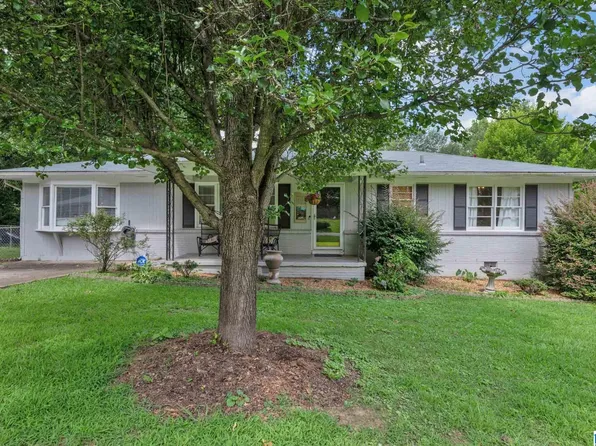 66 Virginia St, Oneonta, AL 35121
