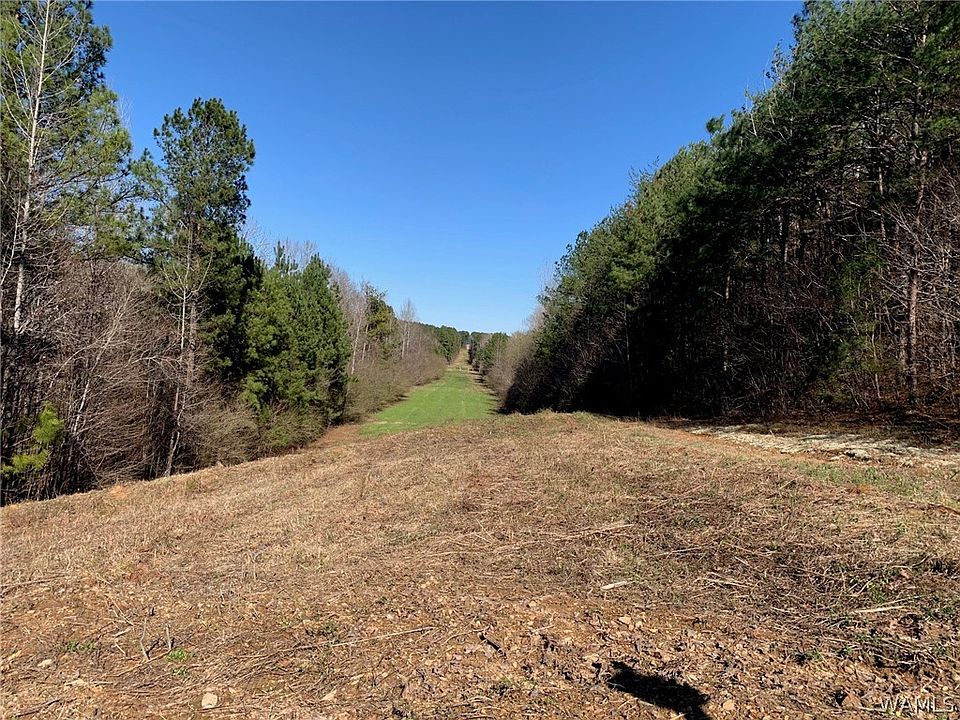 2nd image of 2 Mountainside Dr
