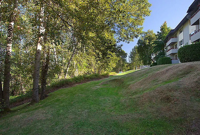 Woodridge Park — Photo 13
