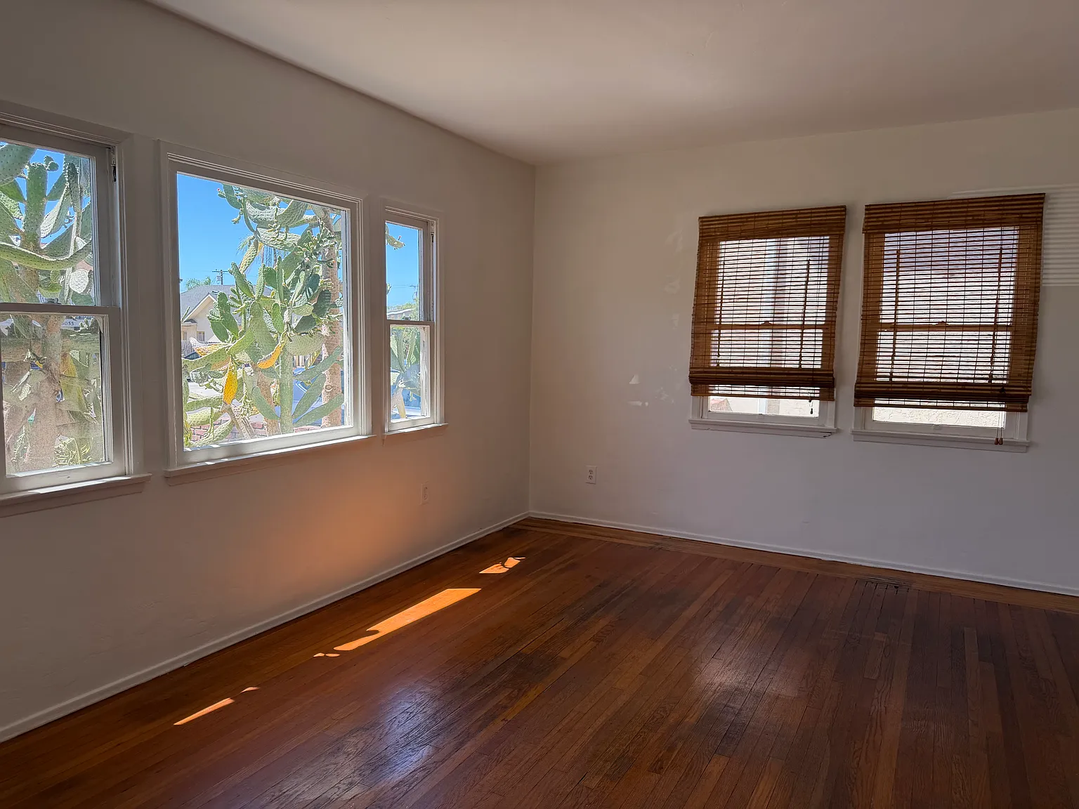 1 bed, $2,300 — Photo 1