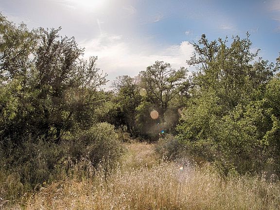 3rd image of Lots 346-349 Valley East Lane
