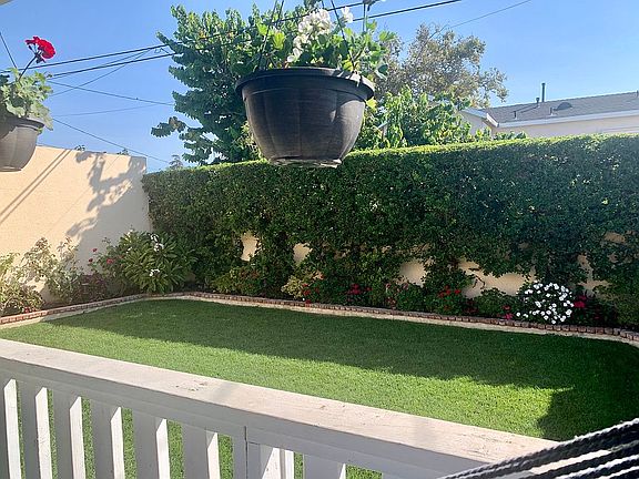 Back yard
