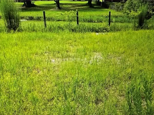 COUNTY ROAD 727, WEBSTER, FL 33597