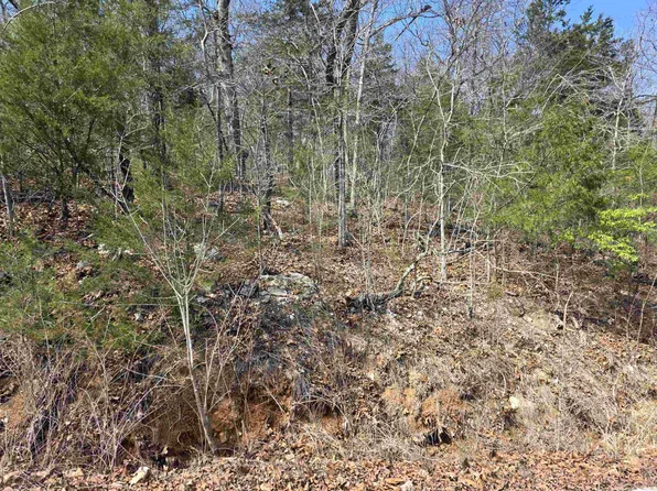 L12-B1 Deer Run Dr, Cherokee Village, AR 72529