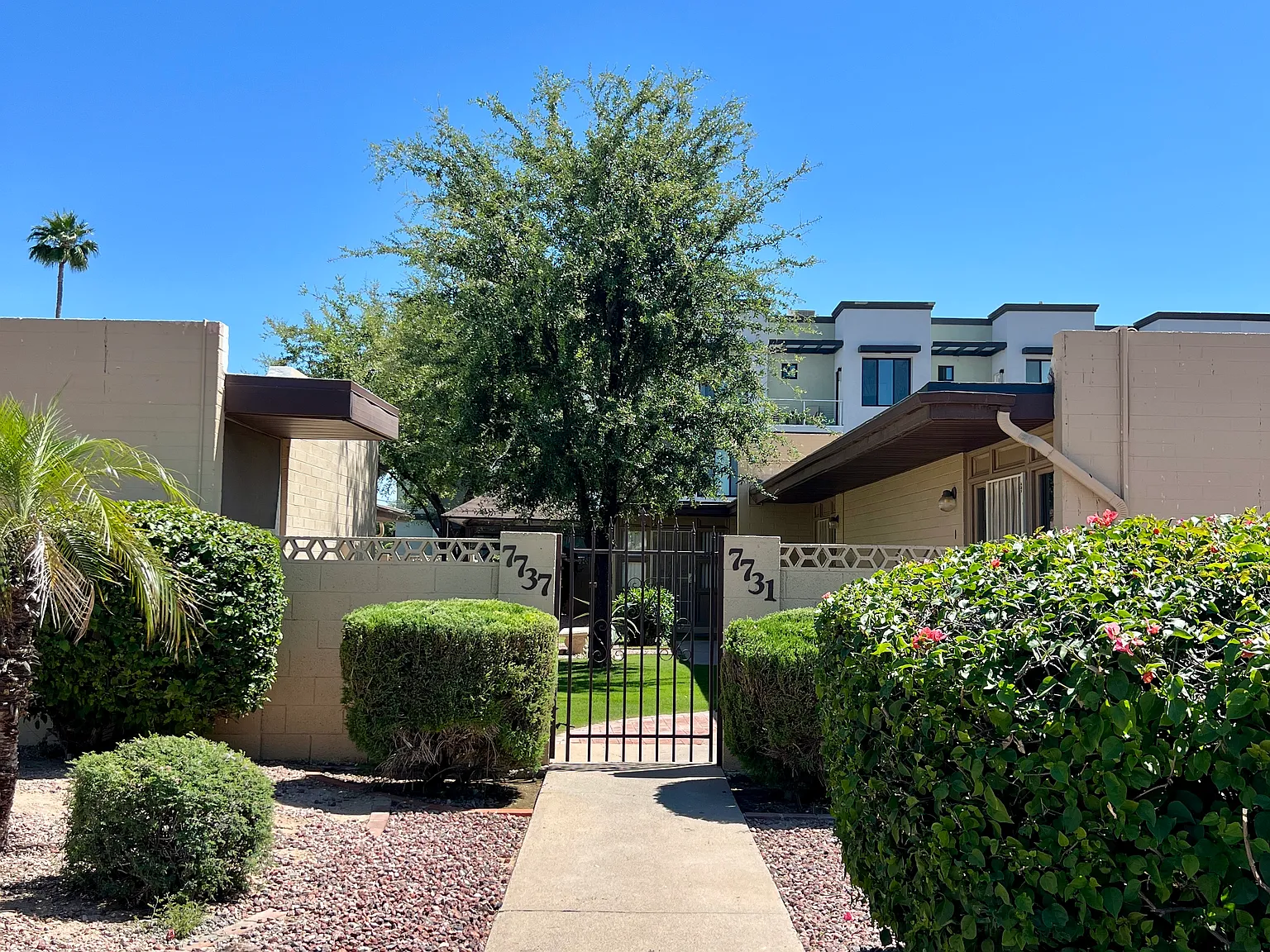 1 bed, 680 sqft, $1,250 — Photo 2