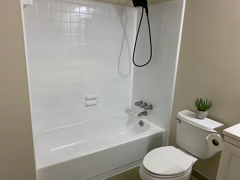 Hall bathroom