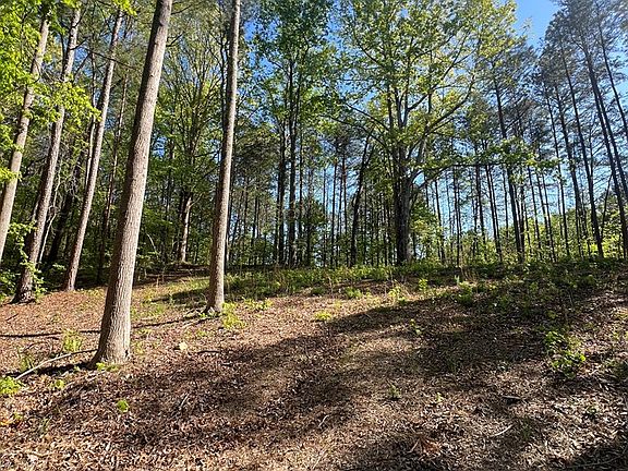 4th image of LOT 4 Battle Ridge Dr