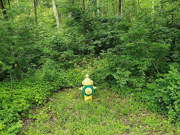 Fire Hydrant on Property