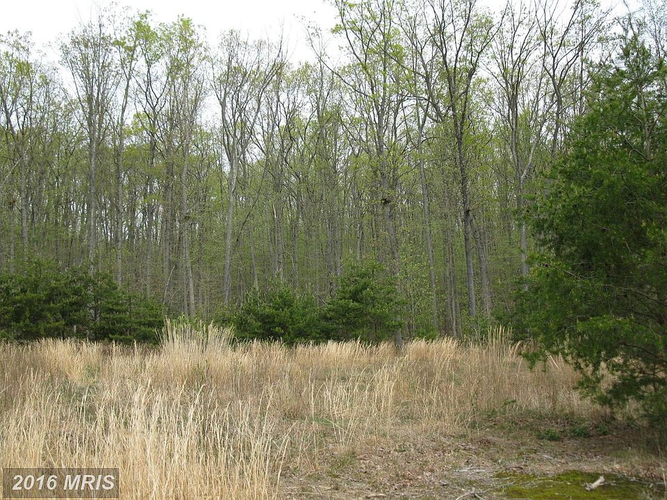 2nd image of 95 Oldfield Acres Dr