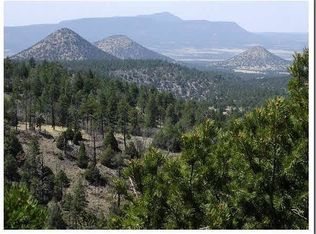 101 W Highway 60, Datil, NM 87821