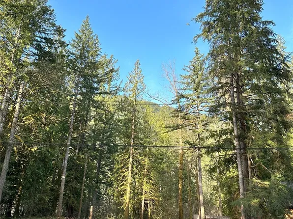 7401 Miller Way, Glacier, WA 98244