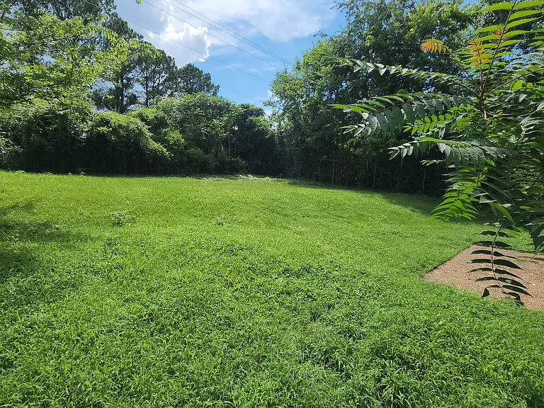 7453 George Gaines Rd — Photo 4