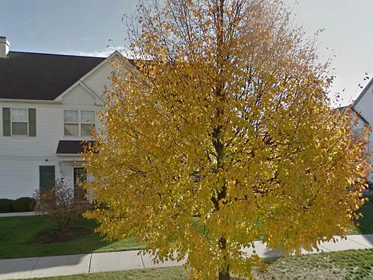 2880 Stonewater Dr — Photo 25