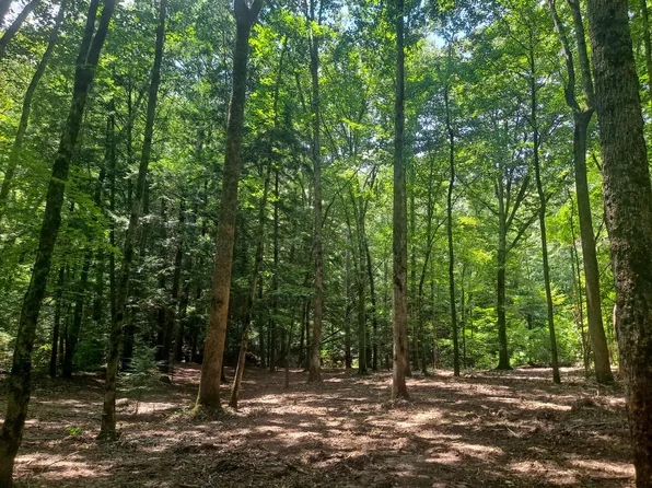 Mill Creek Rd, Nauvoo, AL 35578