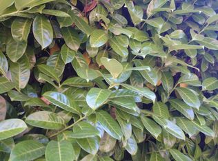 9434 36th Ave SW, Seattle, WA 98126