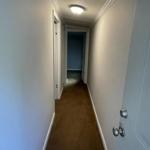 931 Ravenwood Dr — Photo 12