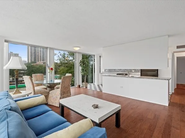 3115 S Michigan Ave APT 301, Chicago, IL 60616