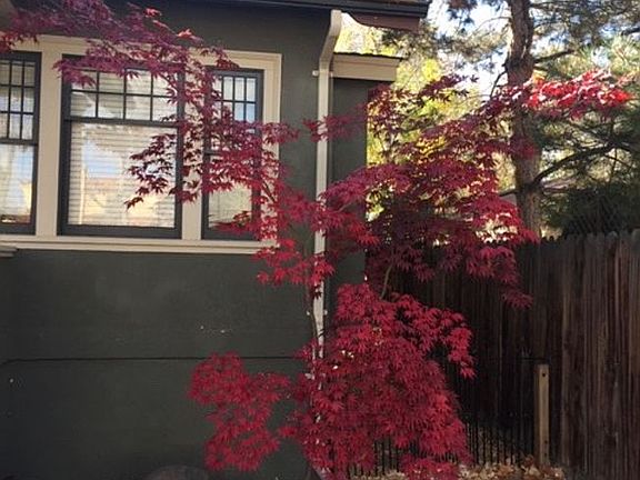 Professional Landscape Desig