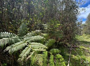 Road 4 Lot 181, Mountain View, HI 96771