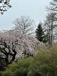 Rented by Highline Residential