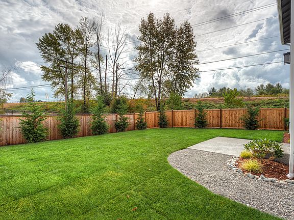 Big fenced and landscaped backyard with extra trees for privacy