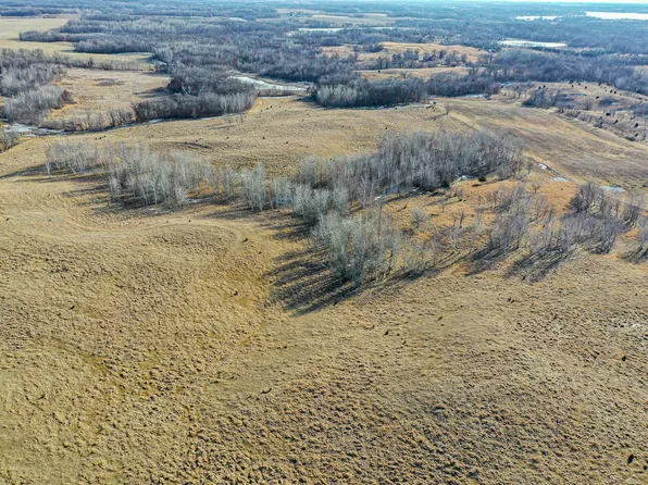 Tbdx Cedar Lake Rd, Sauk Centre, MN 56378