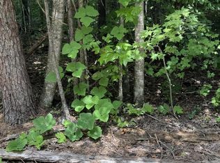 0 S B Ogle Ln Lot 20, Sevierville, TN 37876