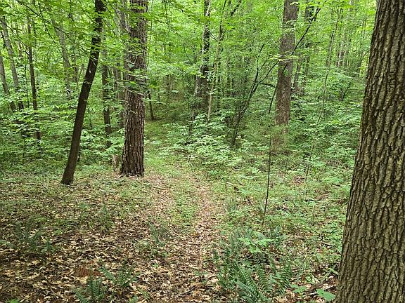 2nd image of 0 Bagwell Dr