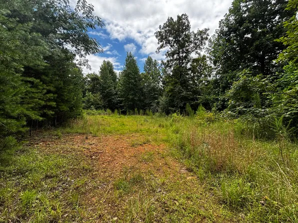 0 Orme Mountain Rd, South Pittsburg, TN 37380