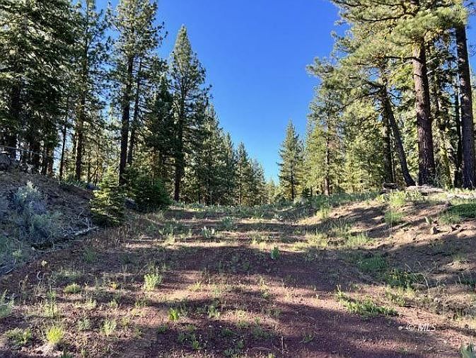 Maryme, Alturas, CA 96101 Zillow