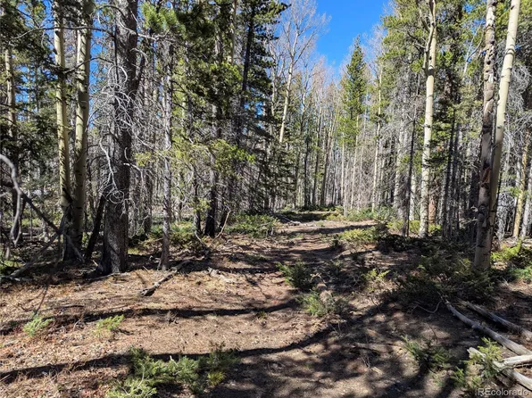3375 Purnell Lane, Fort Garland, CO 81133