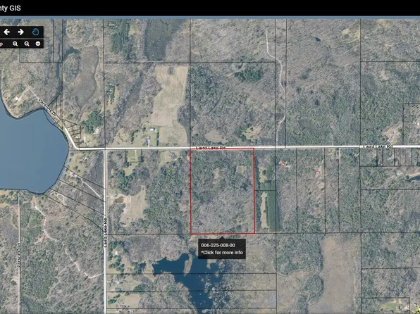 8 Laird Lake Rd, Hale, MI 48739