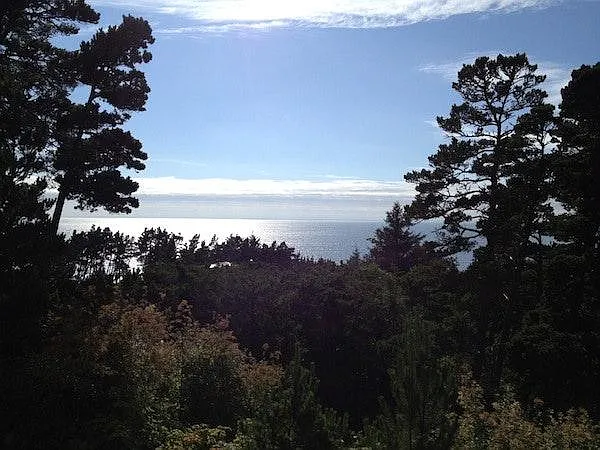View from living room - 250 Glenwood St