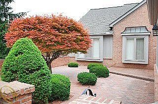 2nd image of 37668 Russett Dr #1