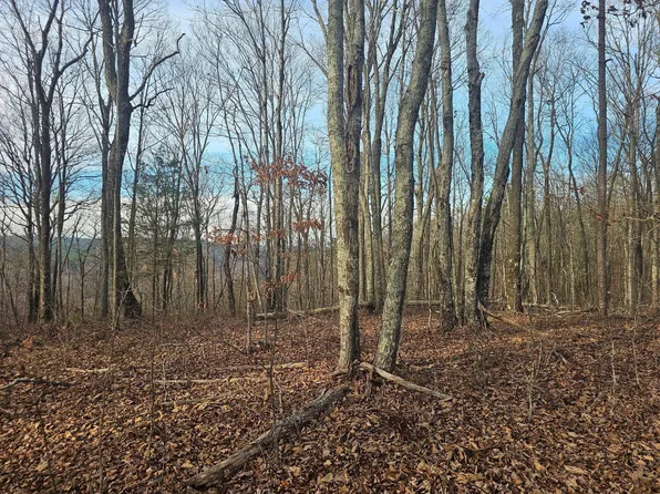 29003 Smith Mountain Rd, Dunlap, TN 37327