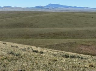 96 Angus Cir #990, Hartsel, CO 80449